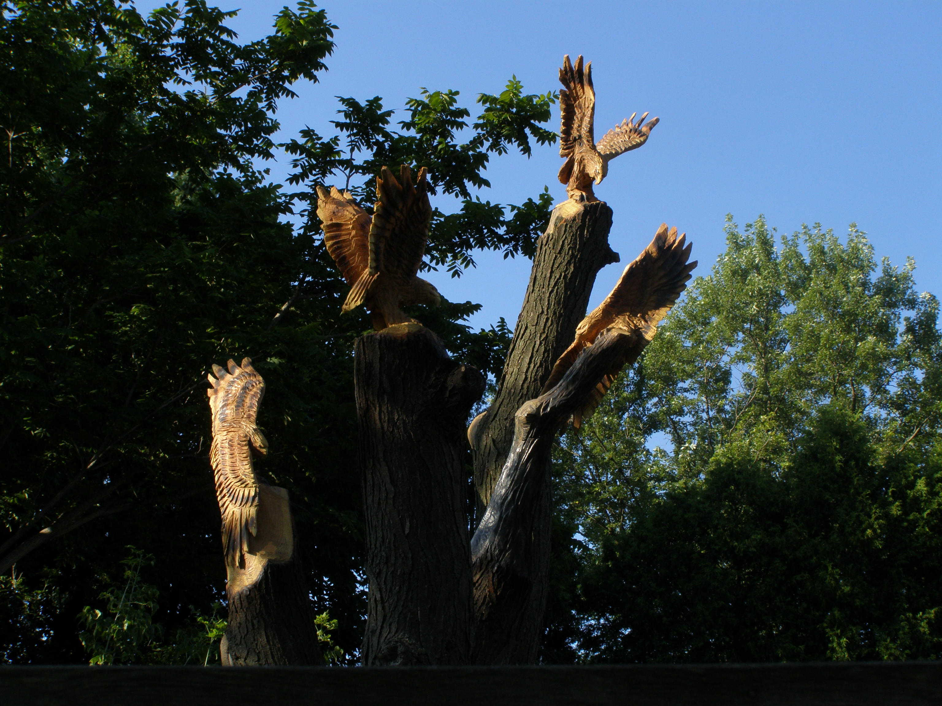 Carving, Chainsaw, Hawks