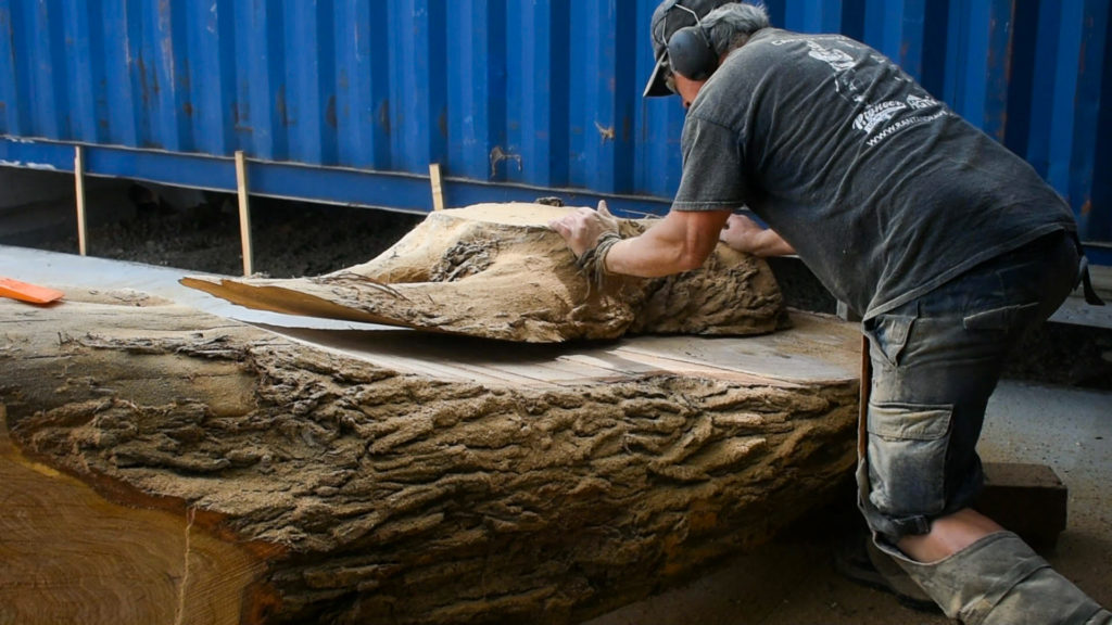 white oak slab being pushed by the carver kings