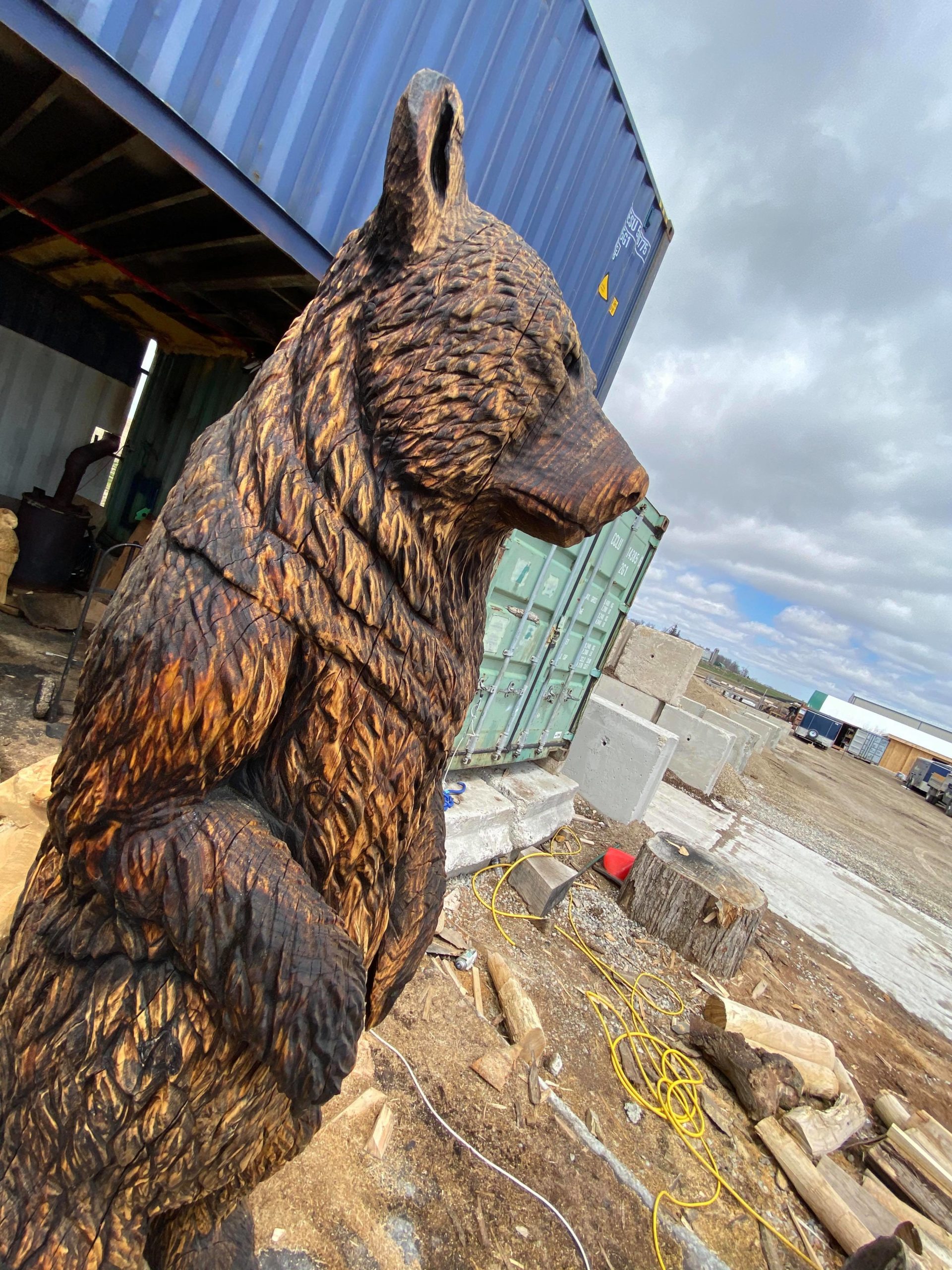 tall brown bear sculpture